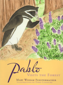 Pablo Visits the Forest by Mary Wisham Fenstermacher