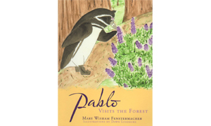 Pablo Visits the Forest